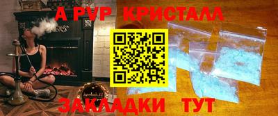 прущие грибы Пушкино