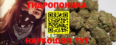 прущие грибы Пушкино