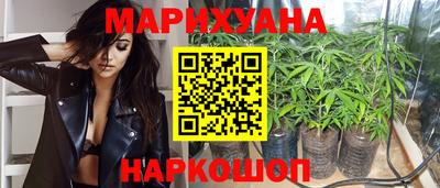 прущие грибы Пушкино