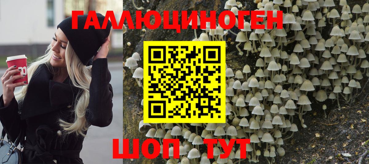 Галлюциногенные грибы прущие грибы  Псилоцибиновые грибы ЛСД  Вход с VPN  Октябрьский 